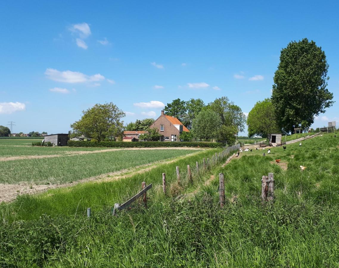 Апартаменты “In Oans Oefje” Parel In De Polder! Lewedorp Экстерьер фото