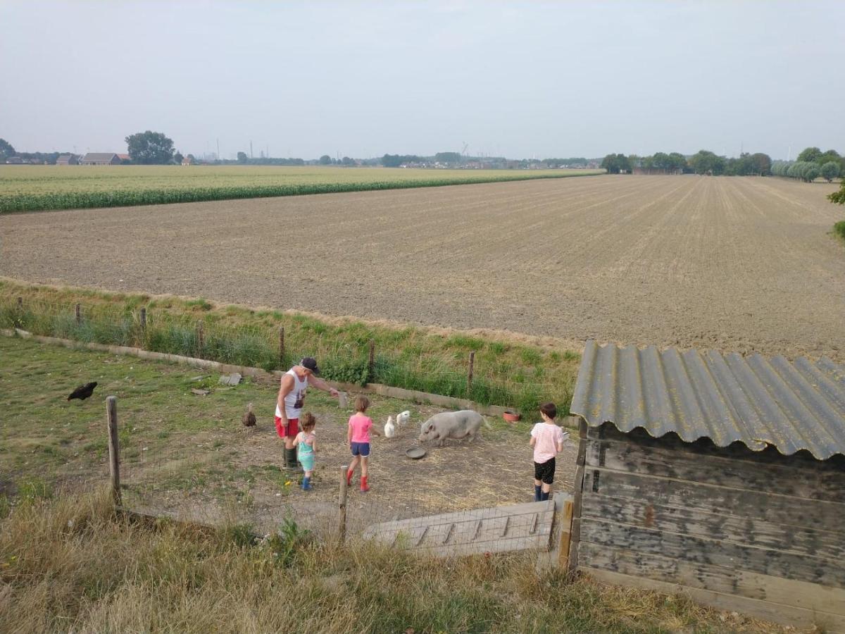 Апартаменты “In Oans Oefje” Parel In De Polder! Lewedorp Экстерьер фото