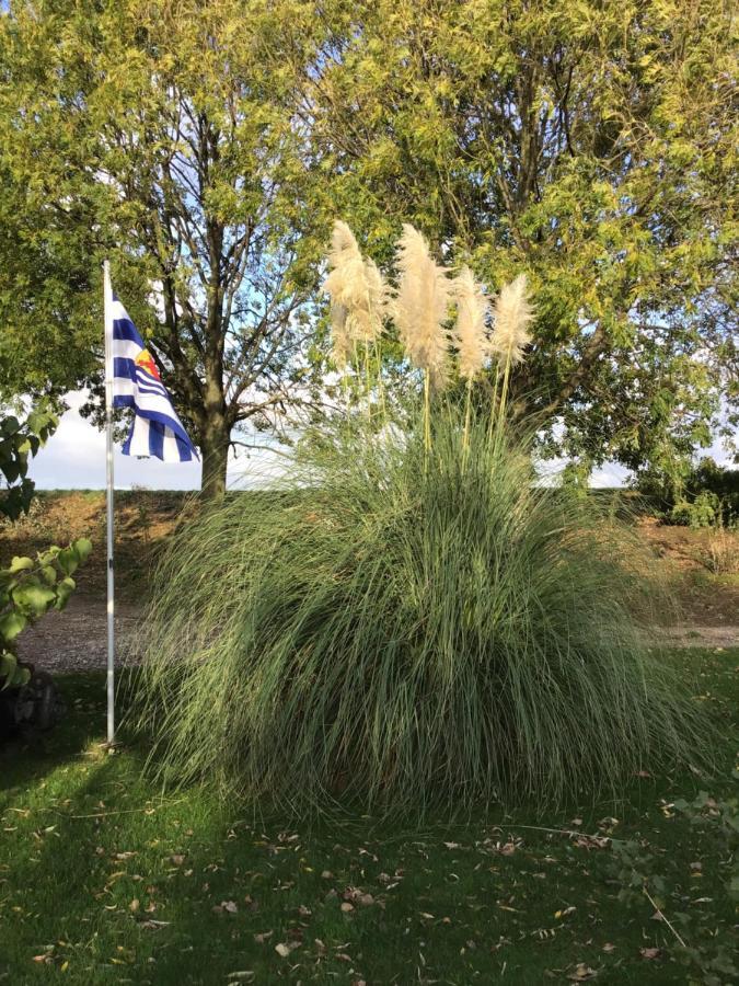 Апартаменты “In Oans Oefje” Parel In De Polder! Lewedorp Экстерьер фото